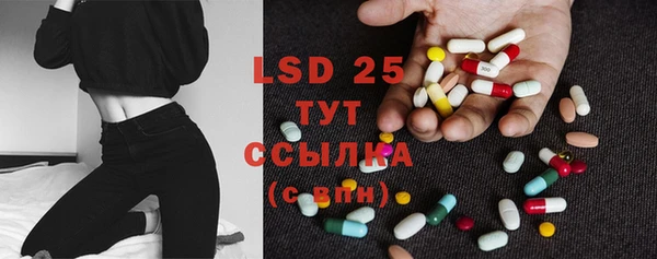 ГАЛЛЮЦИНОГЕННЫЕ ГРИБЫ Вязьма