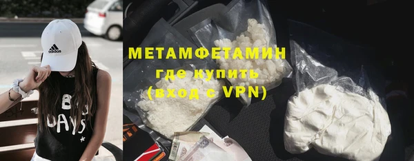 ГАЛЛЮЦИНОГЕННЫЕ ГРИБЫ Вязьма