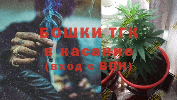 мяу мяу мука Горняк