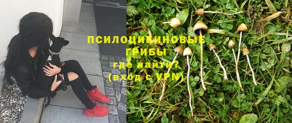 MDMA Premium VHQ Горнозаводск